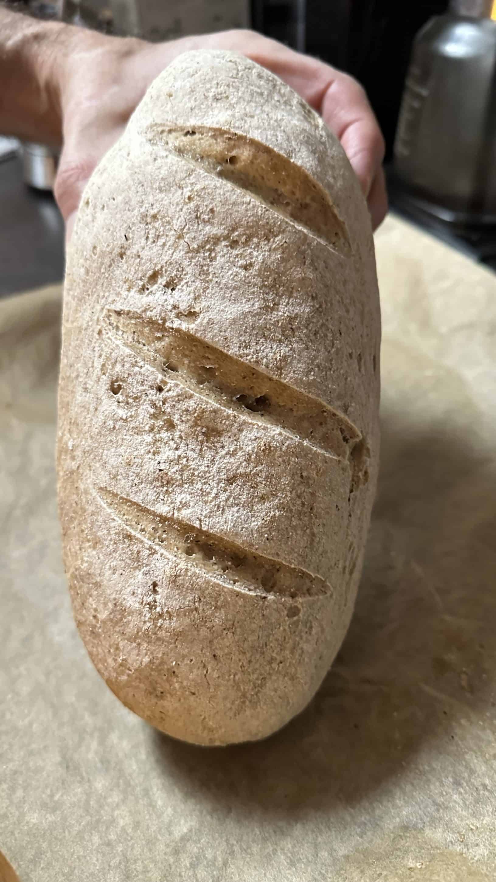 Glutenfri grov ciabatta